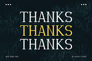 Holiday Flakes - Christmas Font, a Serif Font by Viswal Studio (Thumbnail 6 of 6)