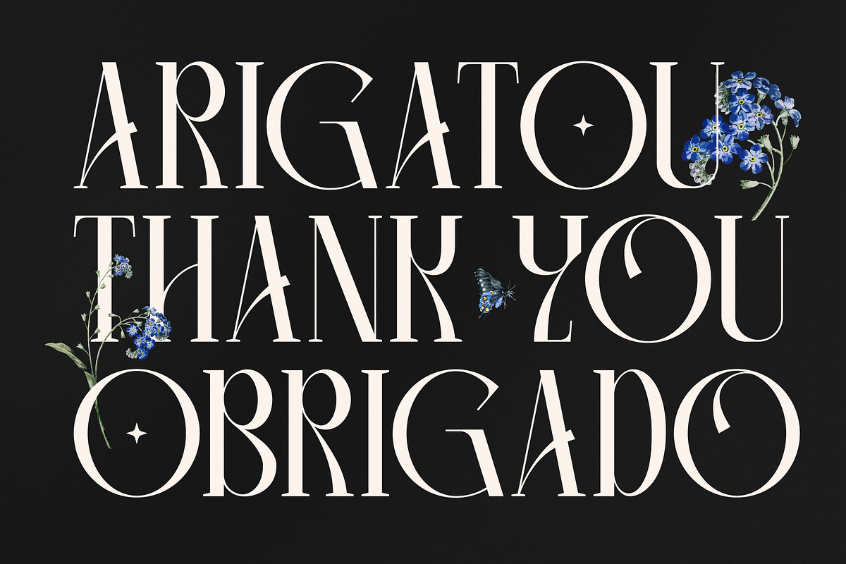 Camaroon Megalord Serif Display Font, a Serif Font by Storytype Studio (Photo 5 of 15)