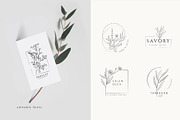 Spices. 30 Premade logos & branches, a Branding & Logo Template by Merfin (Thumbnail 3 of 8)
