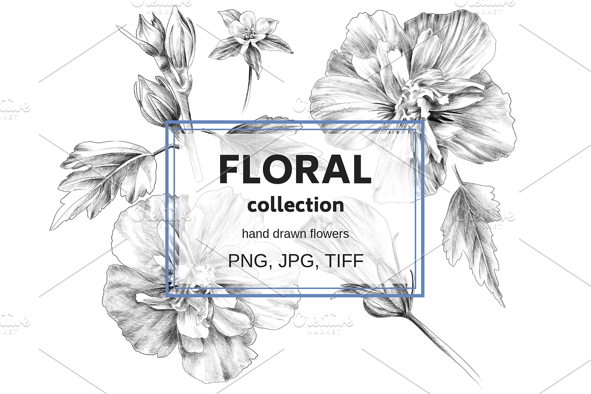 Floral Collection, an Object Graphic by VictoriaKStudio (Photo 1 of 7)