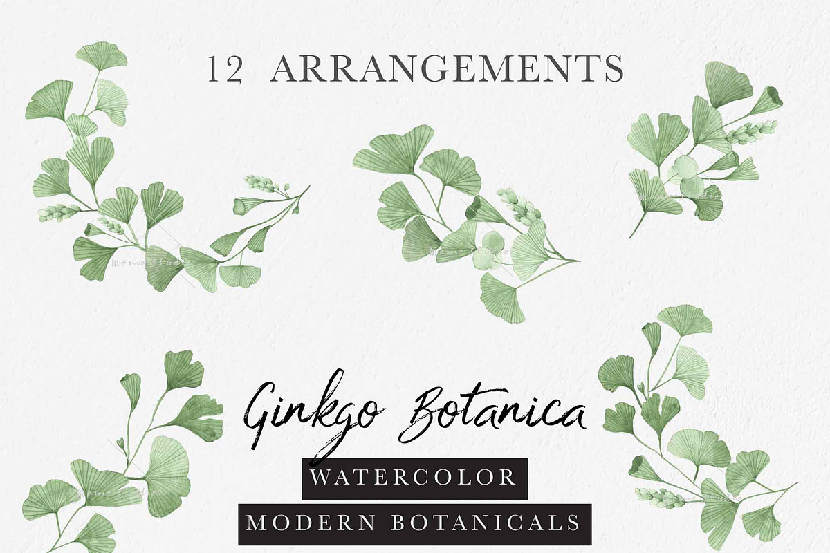 Ginkgo Botanica - Florals & Leaves, a Texture Illustration by Momo Studio (Photo 3 of 12)