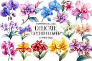 Delicate Orchid Flower Clipart, an Illustration by Daily.Designs (Thumbnail 1 of 4)