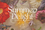 Quinek Elegant Serif, a Serif Font by Brandear Design (Thumbnail 5 of 16)