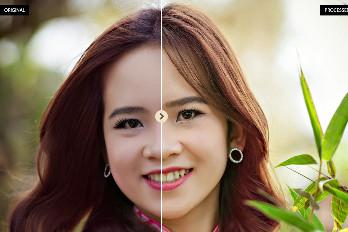 Tone Collection PS & RAW Actions preview 3