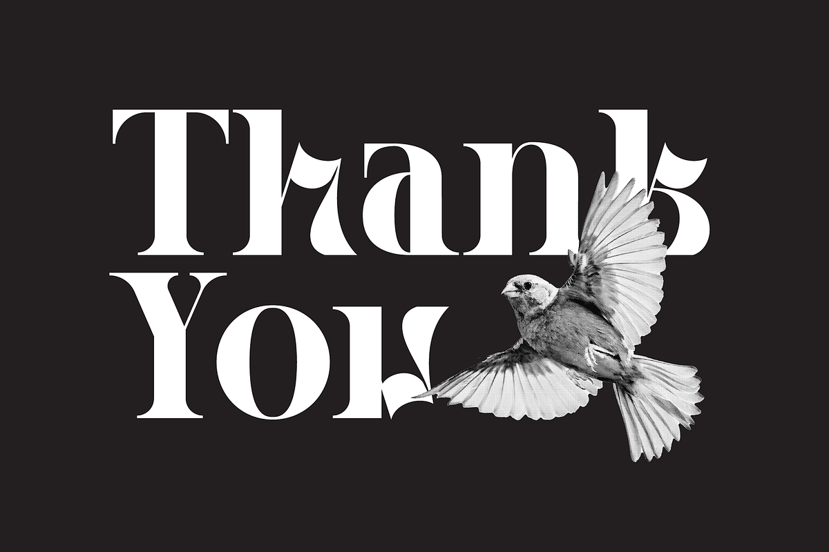 Hegarown Display Serif Font, a Serif Font by Randi Irvan | Rvandtype (Photo 16 of 16)