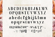 Alissha Bright - Modern Serif, a Serif Font by Shakira Studio (Thumbnail 9 of 10)