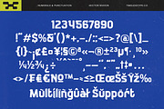 Hector Raxion Futuristic Sport Font, a Sans Serif Font by timelesstype.co (Thumbnail 14 of 20)
