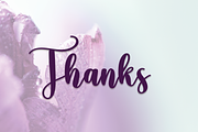 Wildflower | Script Font, a Script Font by Scratchones (Thumbnail 3 of 8)
