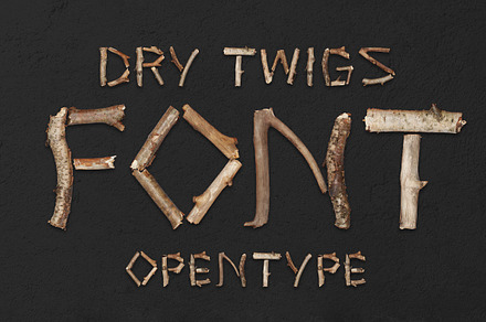 Dry Twigs Font, a Sans Serif Font by Handmadefont