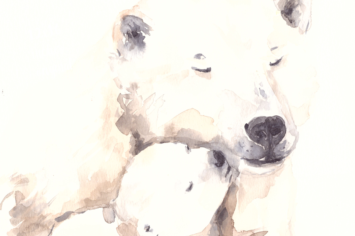 Mother and Baby Polar Bears, an Illustration by Tati Bordiu (Photo 2 of 2)