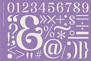 Nova Luxe, a Serif Font by Abigail Dewhirst (Thumbnail 3 of 10)