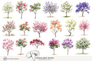 100 watercolor floral trees clip art, a Seasonal Illustration by Poppy Lane Studio (Thumbnail 7 of 12)