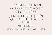 NOMARK || Ligature Typeface, a Serif Font by BrandSemut (Thumbnail 14 of 15)