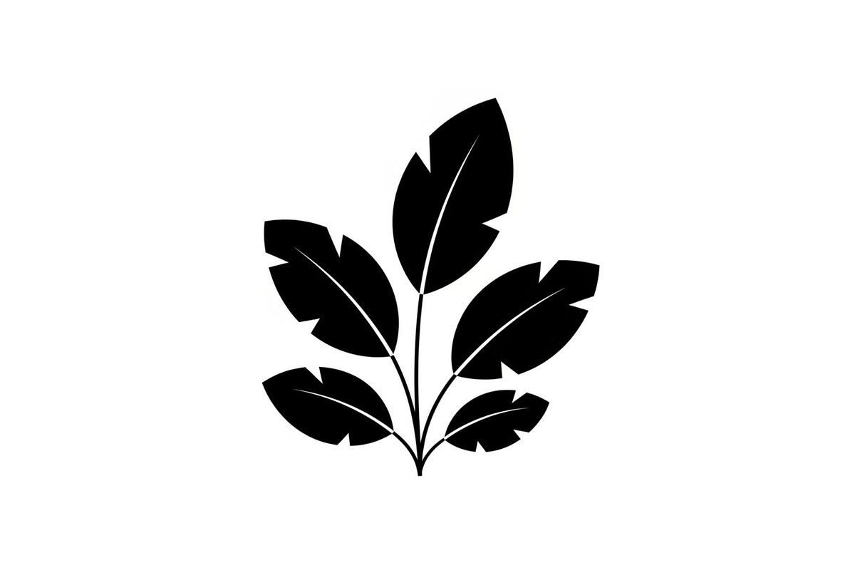 Minimal Botanical Leaf Silhouette Bu, an Illustration by Creativeshirt (Photo 43 of 51)