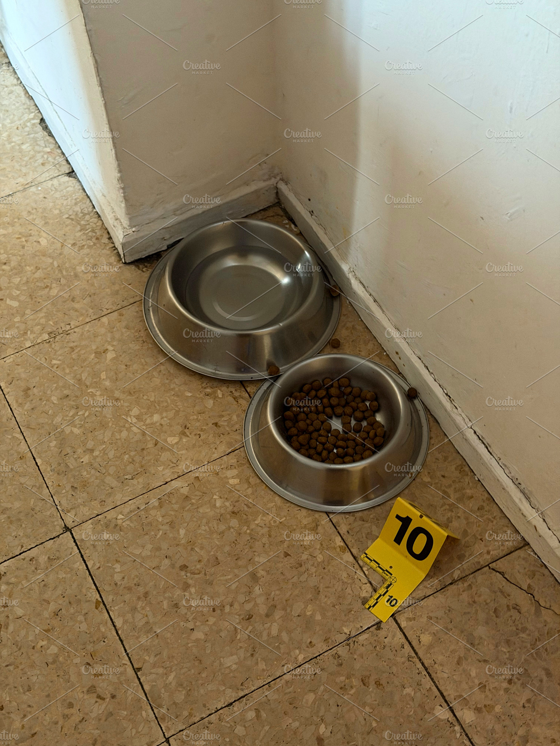 Pet food bowls with crime scene evidence marker, an Industrial Photo by karrastock