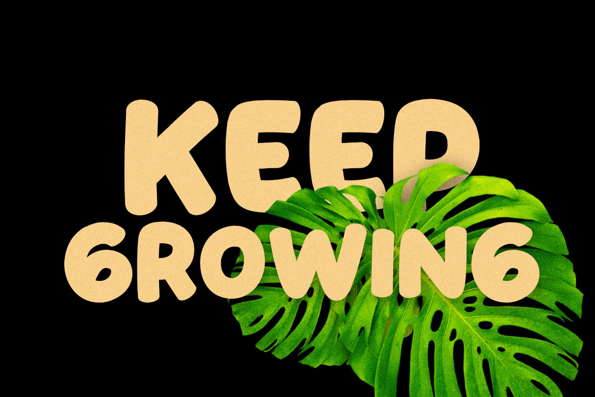 Quickly Brown - Bold Script, a Font by HIRO.std (Photo 2 of 7)