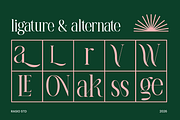 La Carena Modern Elegant Serif Font, a Serif Font by Rasio Studio (Thumbnail 4 of 9)