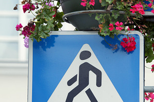 Crossing sign and flowers, a Transportation Photo by BOOCYS