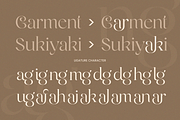 Unique Elegant Luxury Font - Magenta, a Serif Font by Sensatype (Thumbnail 11 of 12)