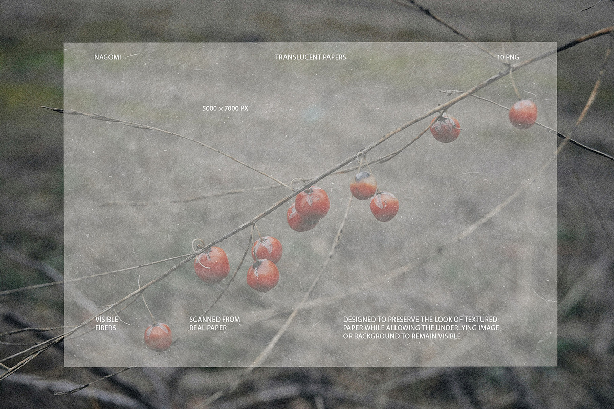 Nagomi - Japanese Paper Textures, a Texture Graphic by alonahaidash (Photo 22 of 26)