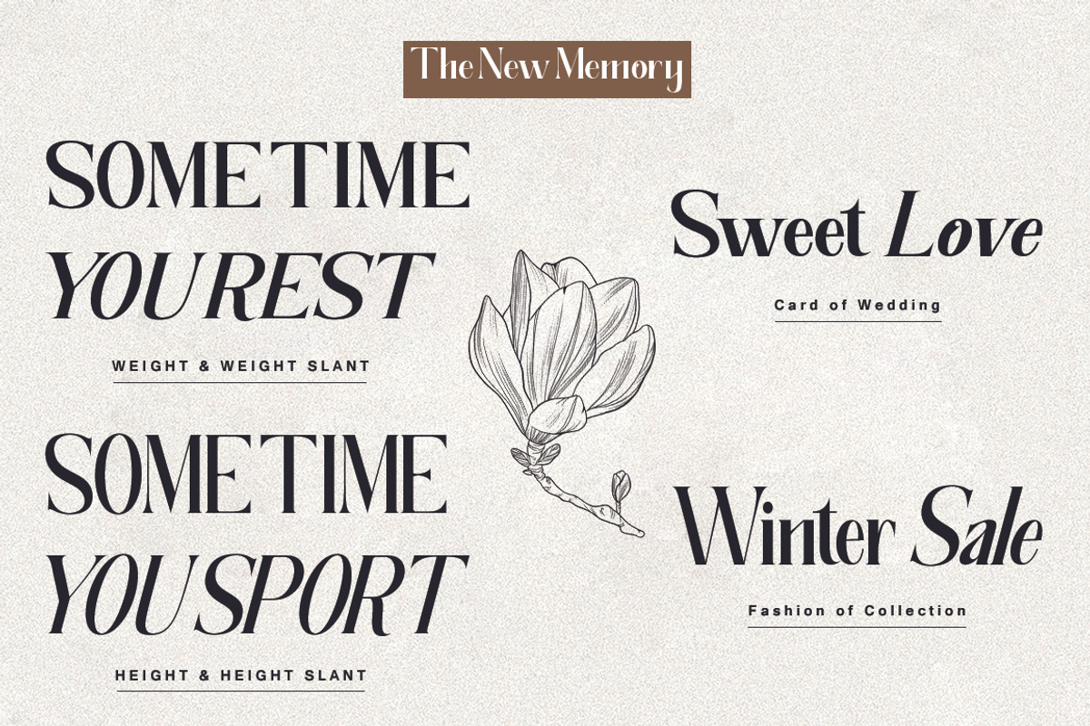 The New Memory, a Serif Font by TM Type (Photo 12 of 17)