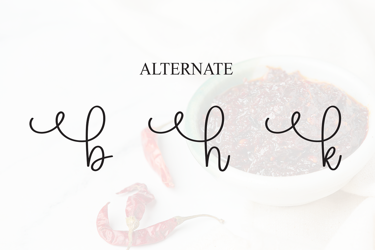 Spicyhot | Script Font, a Handwritten Font by Scratchones (Photo 8 of 9)