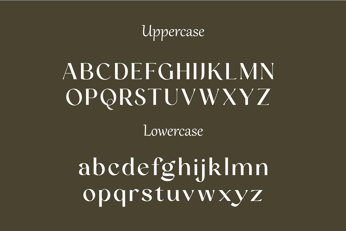 Blinka Bold Script Serif Font Duo, a Script Font by WhymoreArt (Photo 9 of 11)