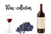 Wine artistic set, a Food Illustration by Schumacher Shop (Thumbnail 6 of 8)