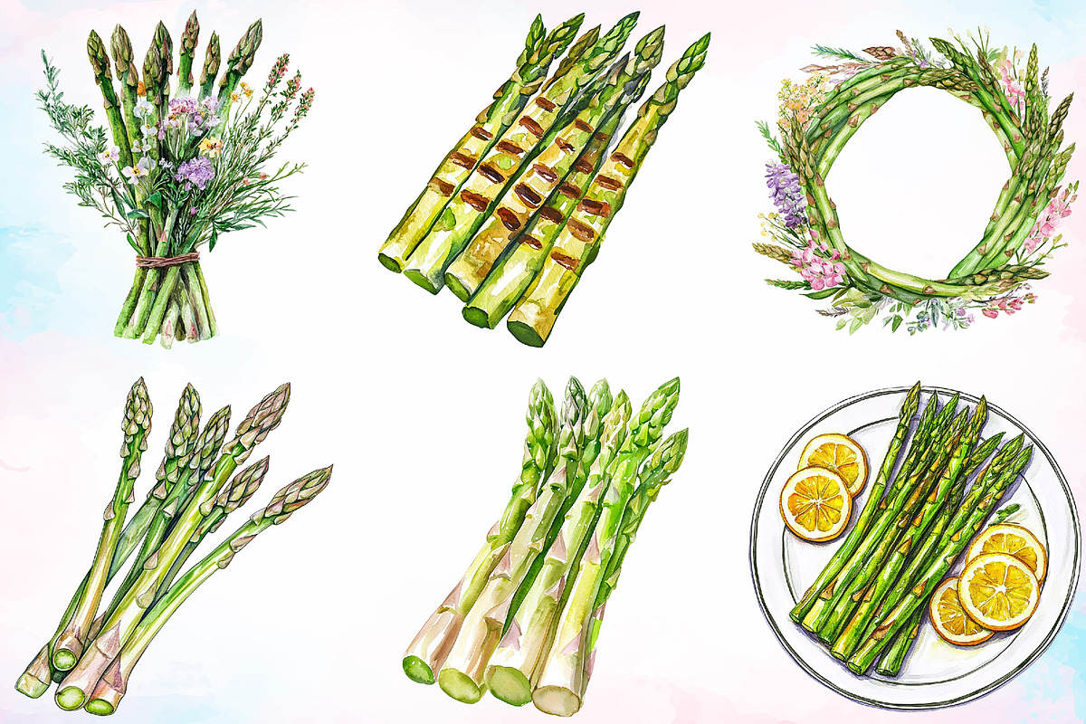 Watercolor Asparagus Clipart Bundle, a Food Illustration by Canvas Craft (Photo 2 of 3)
