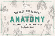 Anatomy Engravings Set, an Object Graphic by Graphic Goods (Thumbnail 1 of 7)