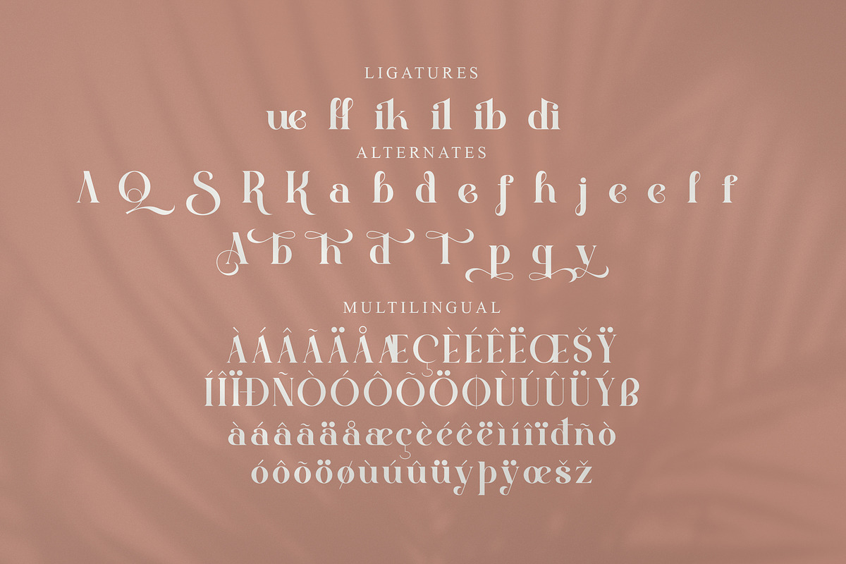 Quella Modern Serif Font, a Serif Font by Storytype Studio (Photo 14 of 15)