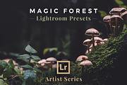 Artist Series - Lightroom Bundle 03 preview 2