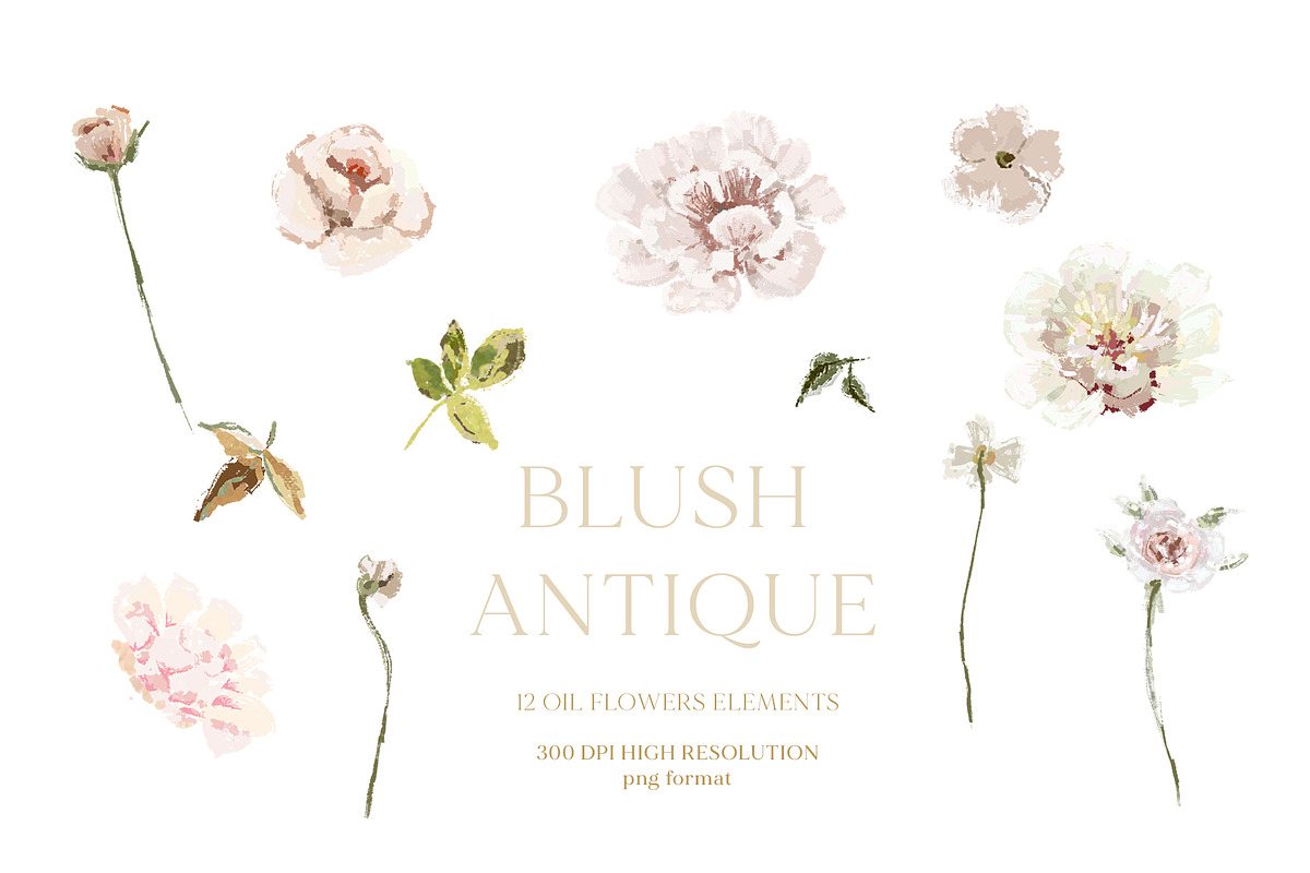 -20% Blush Antique Floral collection, an Illustration by Grace Noboa Illustrations (Photo 4 of 8)