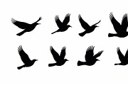 Flying Bird Silhouette Bundle, an Illustration by Creativeshirt (Thumbnail 4 of 10)