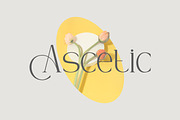 Gamora - Modern Elegant Serif Font, a Serif Font by Flawless And Co (Thumbnail 2 of 10)