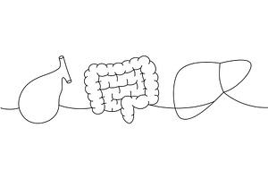Set of human organ one line, a Healthcare Illustration by GraphiShop