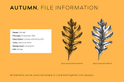 Autumn Leaves & Flowers. Fall Bundle, an Object Graphic by Yevheniia (Thumbnail 10 of 11)