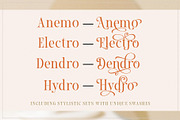 Mailton Typeface, a Serif Font by alit design (Thumbnail 9 of 23)