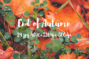 End of Autumn photo pack, a Templates & Theme by ApertureVintage (Thumbnail 3 of 14)