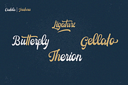 Castela (3 fonts with extras), a Script Font by Angin Studio (Thumbnail 4 of 13)
