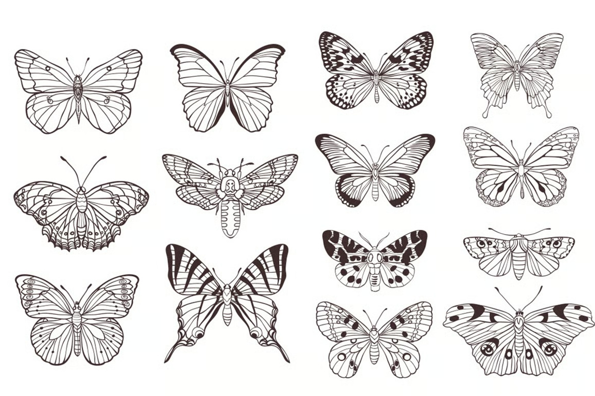 Butterflies, an Animal Illustration by fashionaddict (Photo 3 of 3)