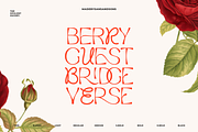 Opulent Ascend - 9 Font Family, a Sans Serif Font by Sans & Sons (Thumbnail 3 of 10)