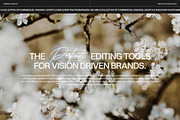 Flawless Bright - Video LUTs, a Brushes & More by Truesight Supply Co. (Thumbnail 2 of 6)