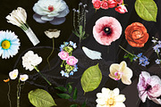 Analog Wedding Collage Kit, an Object Graphic by Anzhelika (Thumbnail 7 of 12)