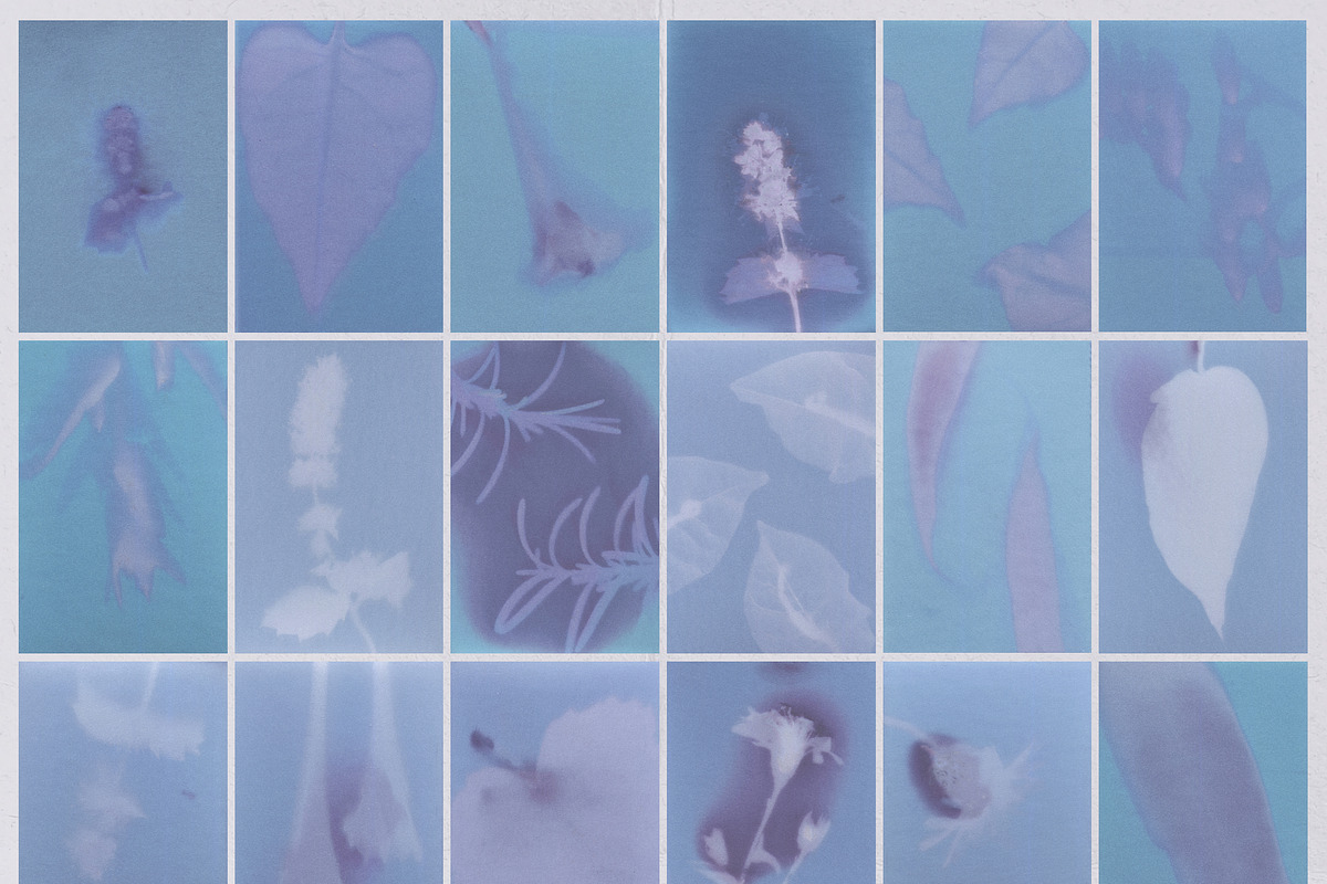 Lumen Traces: Handmade Prints, a Background Graphic by Anastasiia VNSK (Photo 15 of 16)