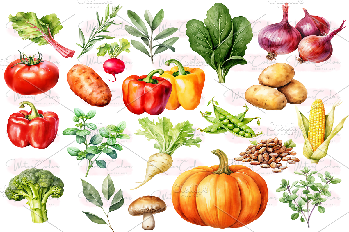 Vegetables Collection Clipart, a Food Illustration by Watercolor Digital (Photo 4 of 9)