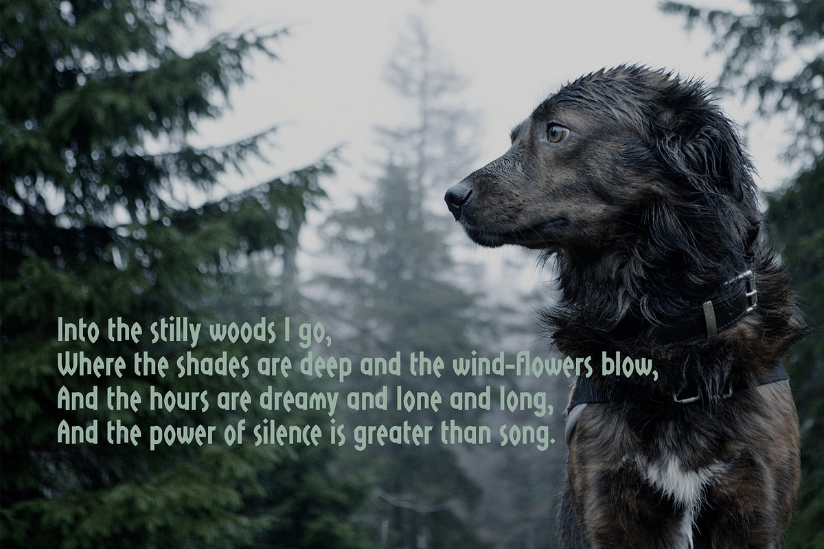 VIKINGAR display font, a Sans Serif Font by Lilli Jemska Studio (Photo 8 of 10)