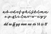 Madame - SUMMER SALE - 70% OFF!, a Handwritten Font by StereoType (Thumbnail 8 of 9)