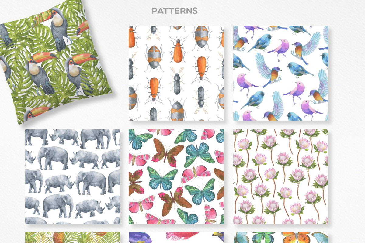 Safari Watercolor Collection, an Animal Illustration by Julia Dreams