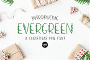HAPPY HOLIDAYS Font Family, a Font by Blush Font Co. (Thumbnail 6 of 12)
